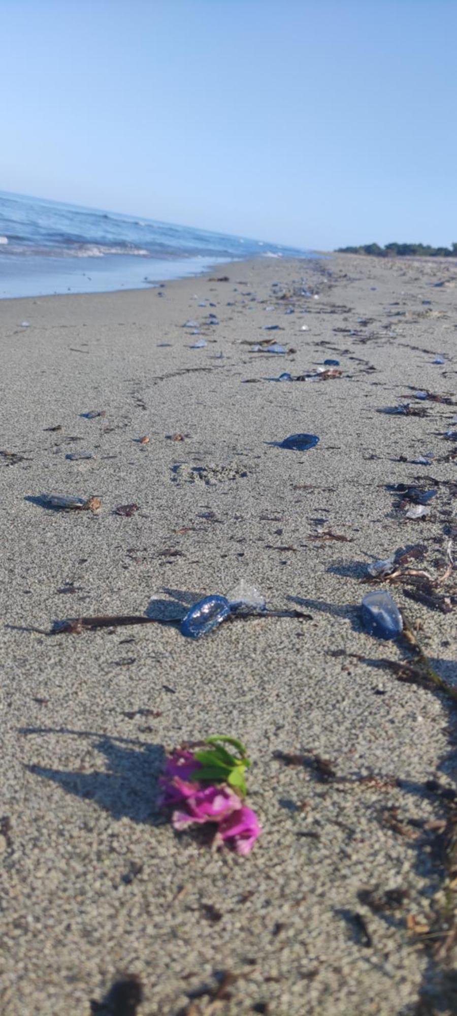 Villa Les Pieds Dans L'Eau Borgo  Exteriör bild